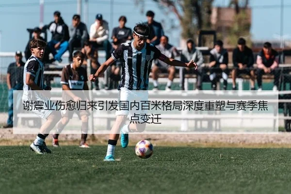 谢震业伤愈归来引发国内百米格局深度重塑与赛季焦点变迁